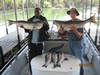 (06/16/2017) - Nice Striped Bass